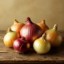 Picture of Onion پیاز