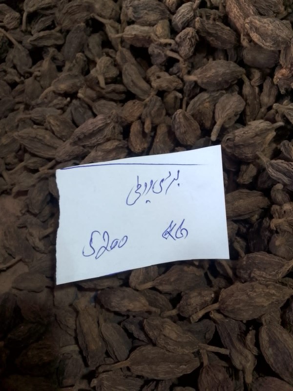 Picture of Black Cardamom – بڑی الائچی