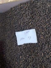 Picture of Black Pepper – کالی مرچ