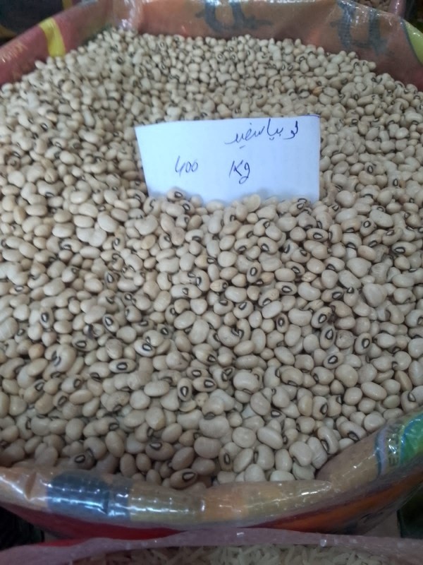 Picture of White cowpeas  لوبيا سفيد